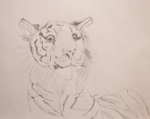 Drawing of a Tiger, ArtHenning